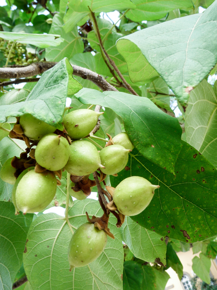 20170730 Fotogruppe_Zoo_Sabine-189.jpg