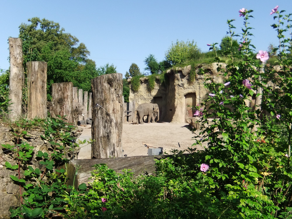 20170730 Fotogruppe_Zoo_Anna Maria-17.jpg