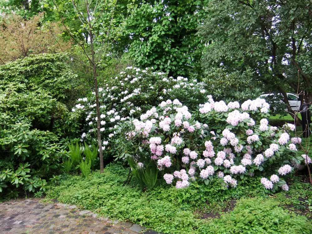 20170419 NF_Aktiv_Luisenpark_Anna Maria-3.jpg