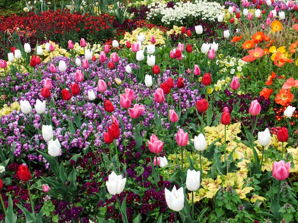 20170419 NF_Aktiv_Luisenpark_Anna Maria-13.jpg