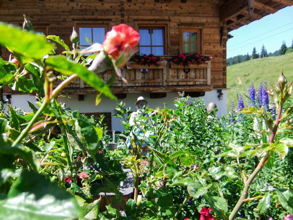 20170703 NF_Chiemgau_Anna Maria-35.jpg