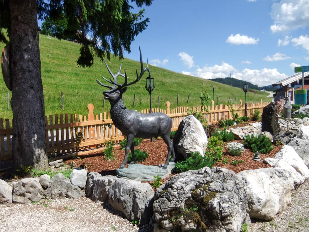 20170703 NF_Chiemgau_Anna Maria-36.jpg