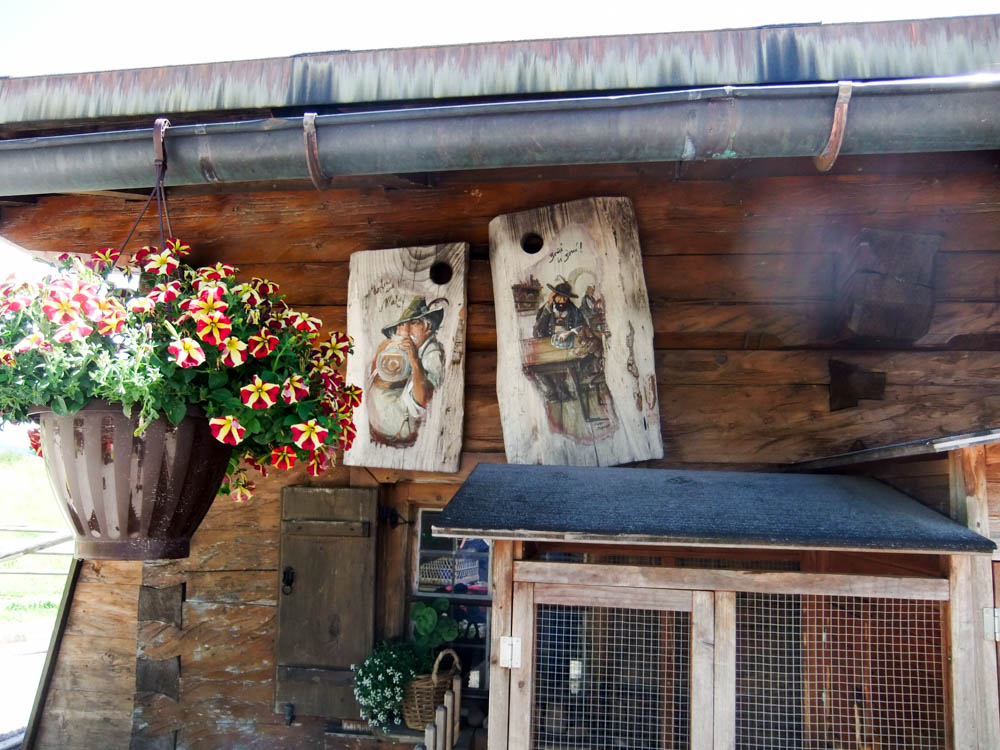 20170703 NF_Chiemgau_Anna Maria-39.jpg