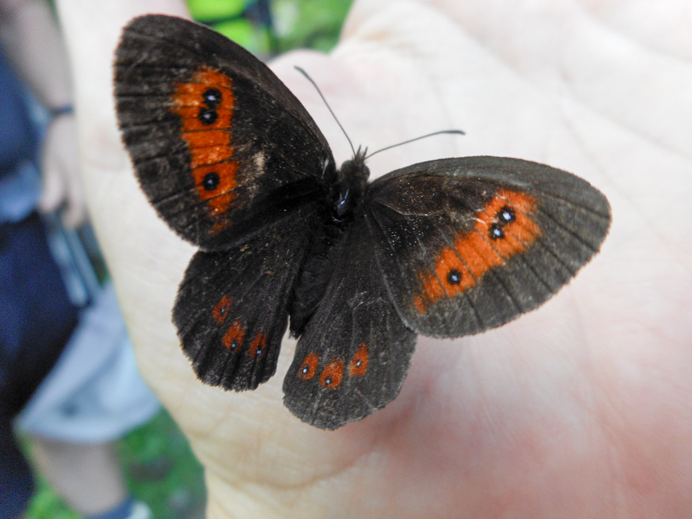 20170803 NF_Hochgebirgswanderung_Anke-2.jpg