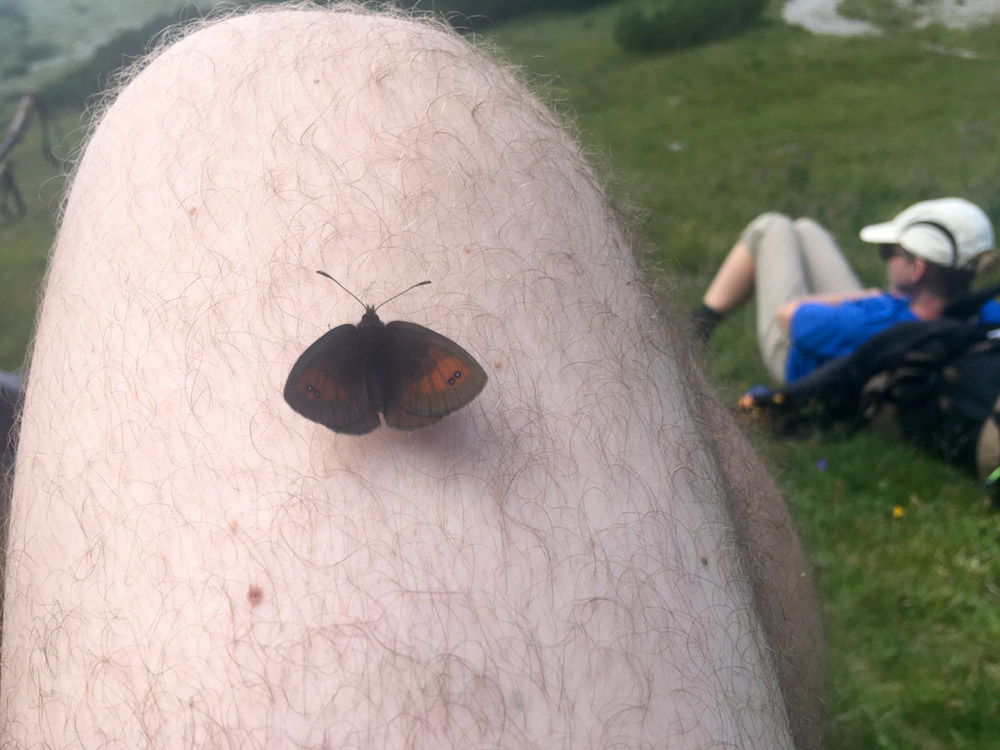 20170804 NF_Hochgebirge Brandner-Runde_Michael-101.jpg