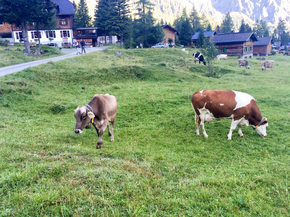 20170804 NF_Hochgebirge Brandner-Runde_Michael-242.jpg