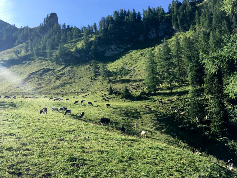 20170804 NF_Hochgebirge Brandner-Runde_Michael-250.jpg