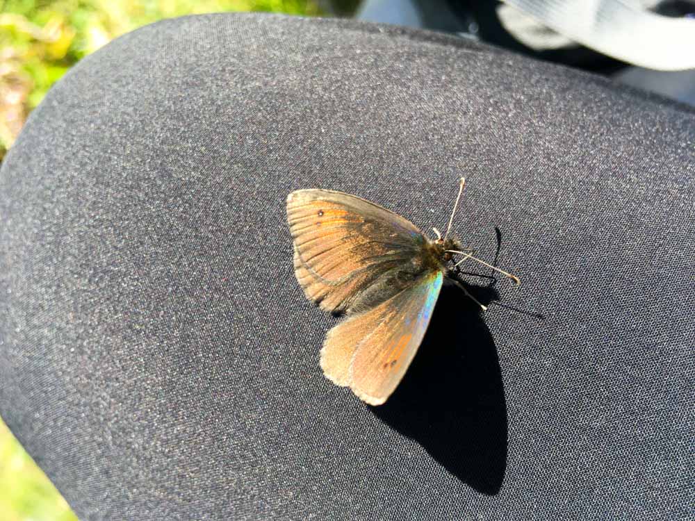 20170804 NF_Hochgebirge Brandner-Runde_Michael-269.jpg