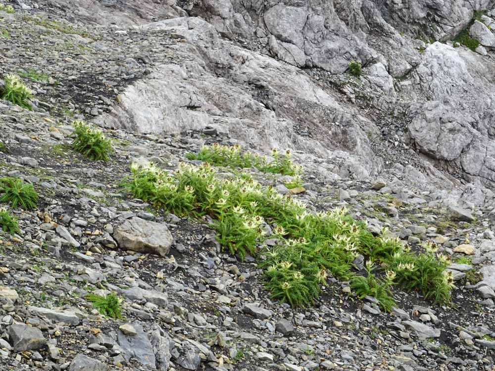 20170804 NF_Hochgebirgswanderung_Sascha-175.jpg