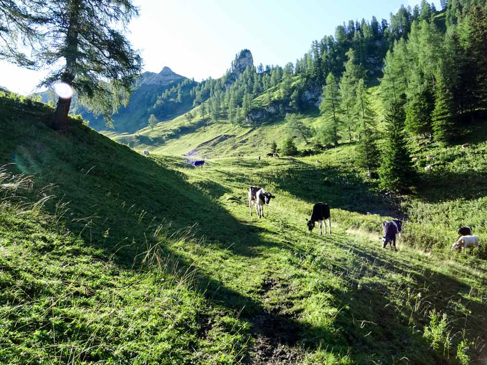 20170804 NF_Hochgebirgswanderung_Sascha-200.jpg