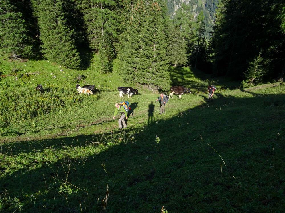 20170804 NF_Hochgebirgswanderung_Sascha-202.jpg