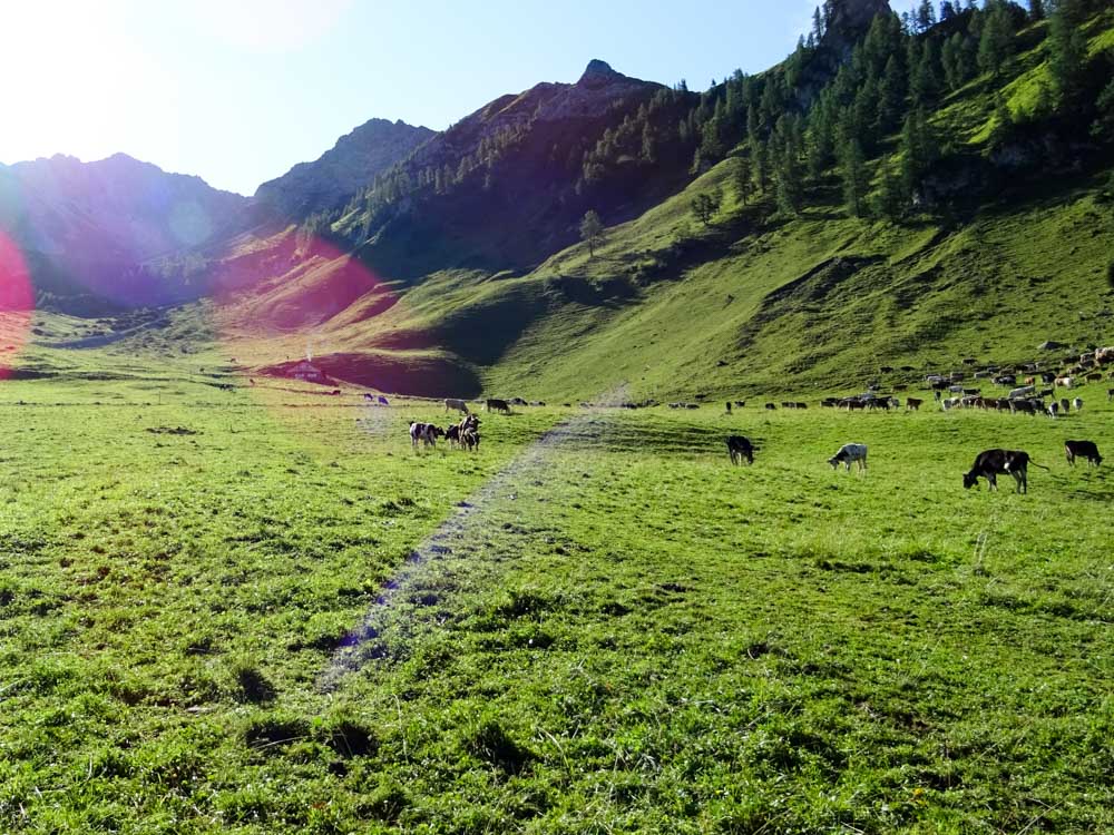 20170804 NF_Hochgebirgswanderung_Sascha-203.jpg