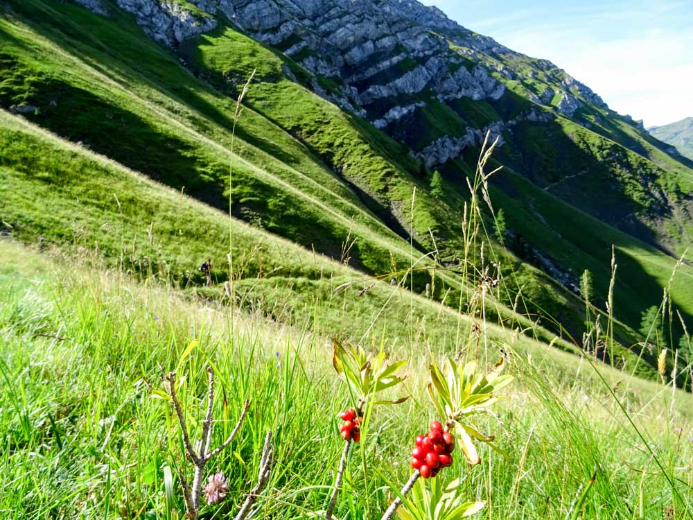 20170804 NF_Hochgebirgswanderung_Sascha-220.jpg