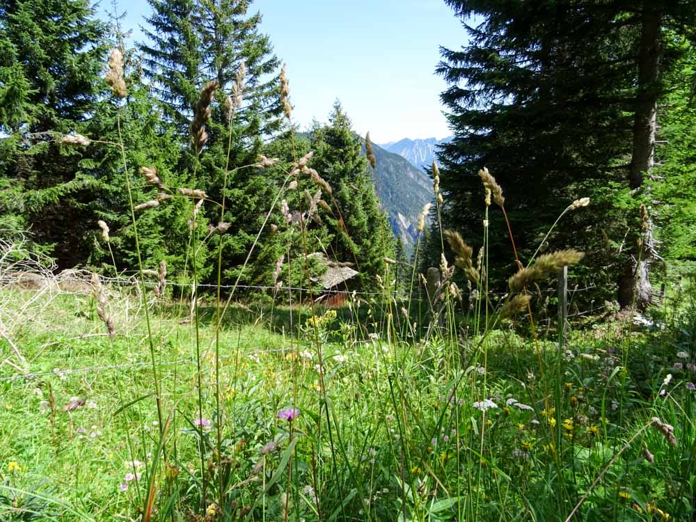 20170804 NF_Hochgebirgswanderung_Sascha-256.jpg