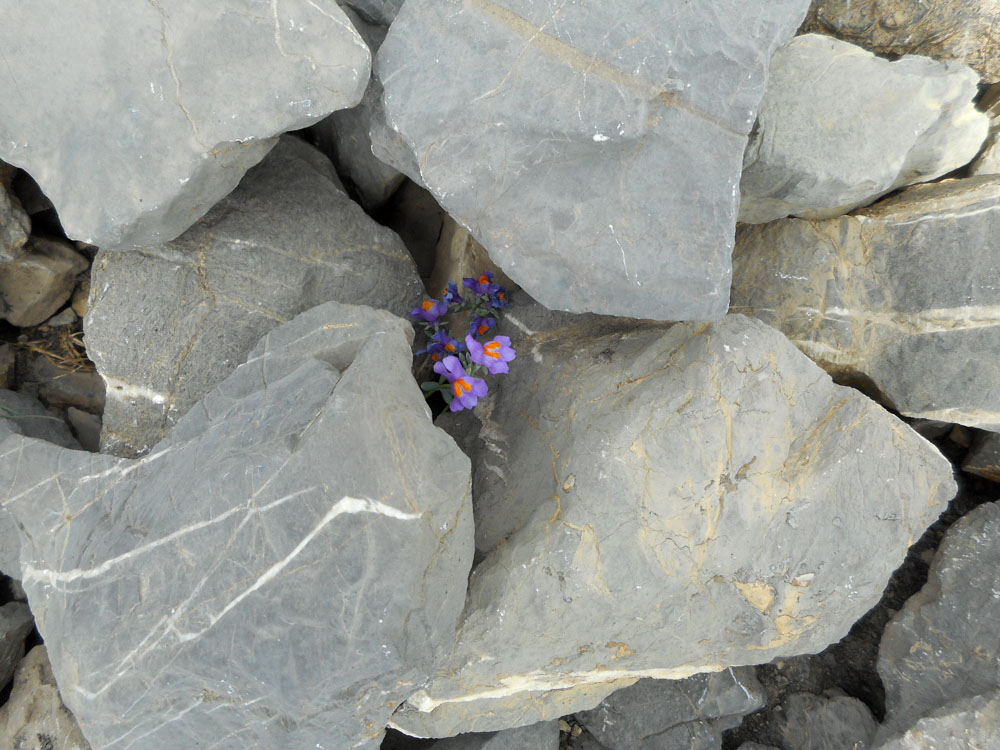 20170805 NF_Hochgebirgswanderung_Anke-13.jpg