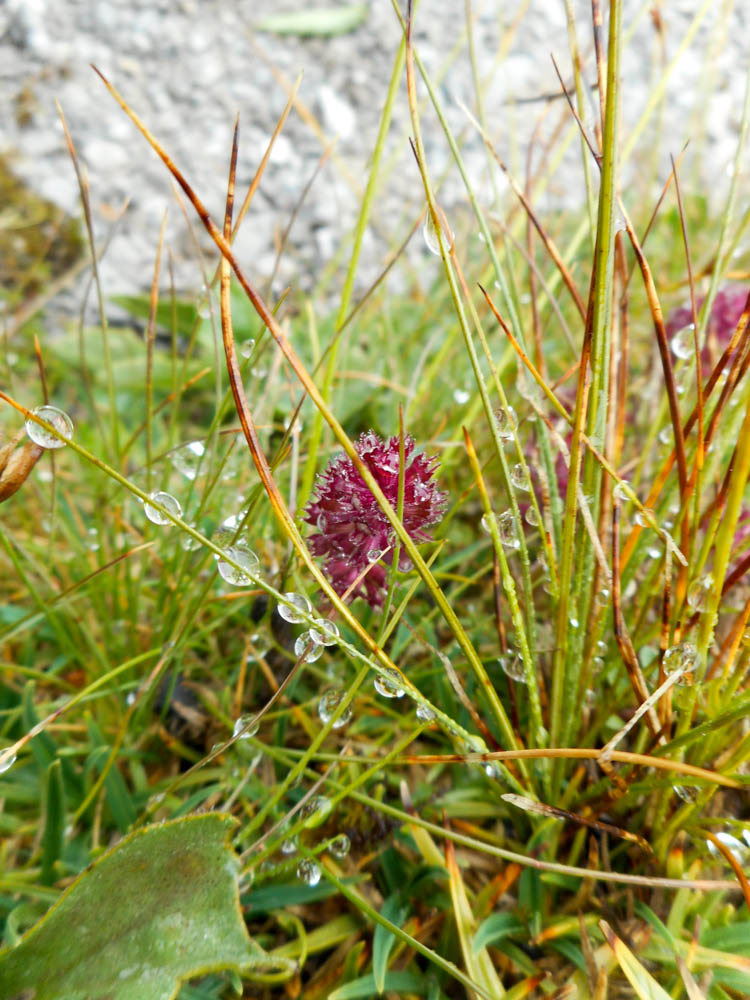 20170806 NF_Hochgebirgswanderung_Anke-9.jpg