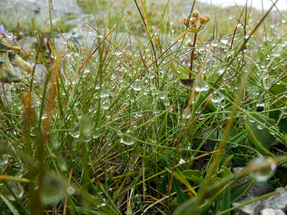 20170806 NF_Hochgebirgswanderung_Anke-10.jpg