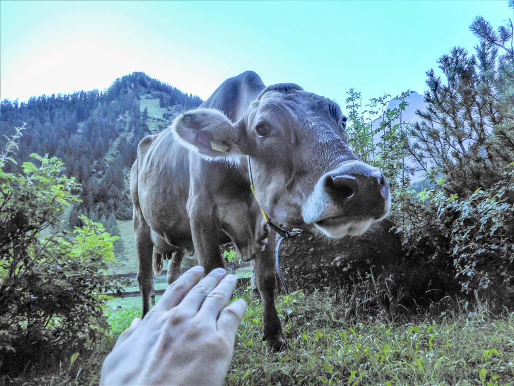 20170807 NF_Hochgebirgswanderung_Anke-4.jpg