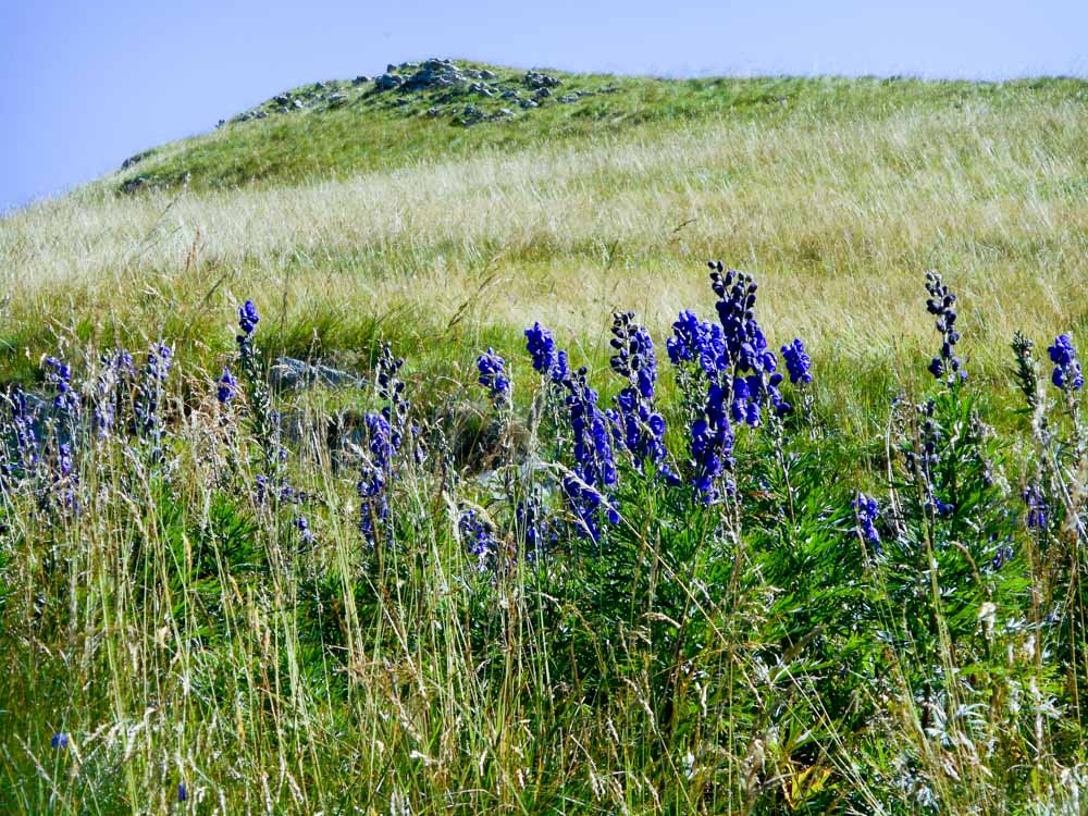 20170807 NF_Hochgebirgswanderung_Anke-15.jpg