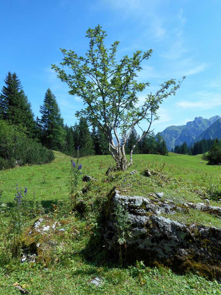 20170807 NF_Hochgebirgswanderung_Anke-24.jpg
