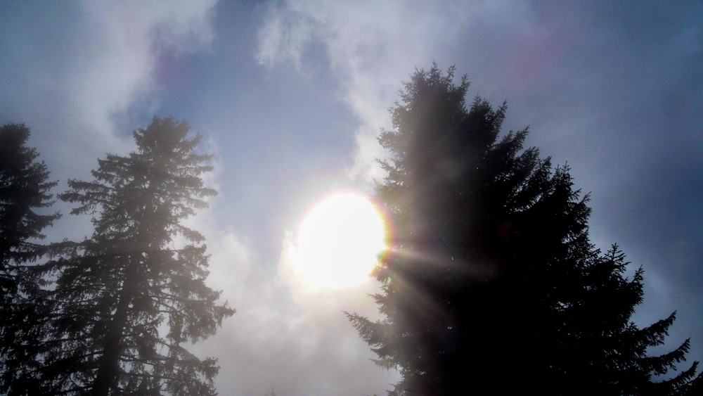 20170905 NF_Bregenzer Wald_Heinz-26.jpg