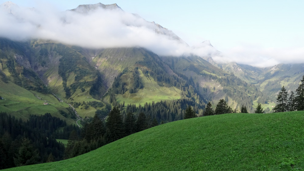 20170905 NF_Bregenzer Wald_Heinz-120.jpg