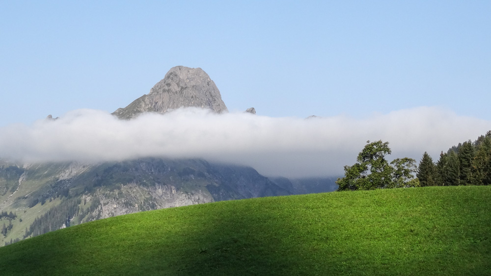 20170905 NF_Bregenzer Wald_Heinz-123.jpg