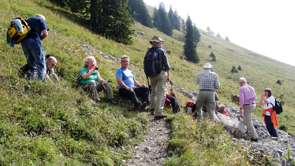 20170905 NF_Bregenzer Wald_Heinz-131.jpg