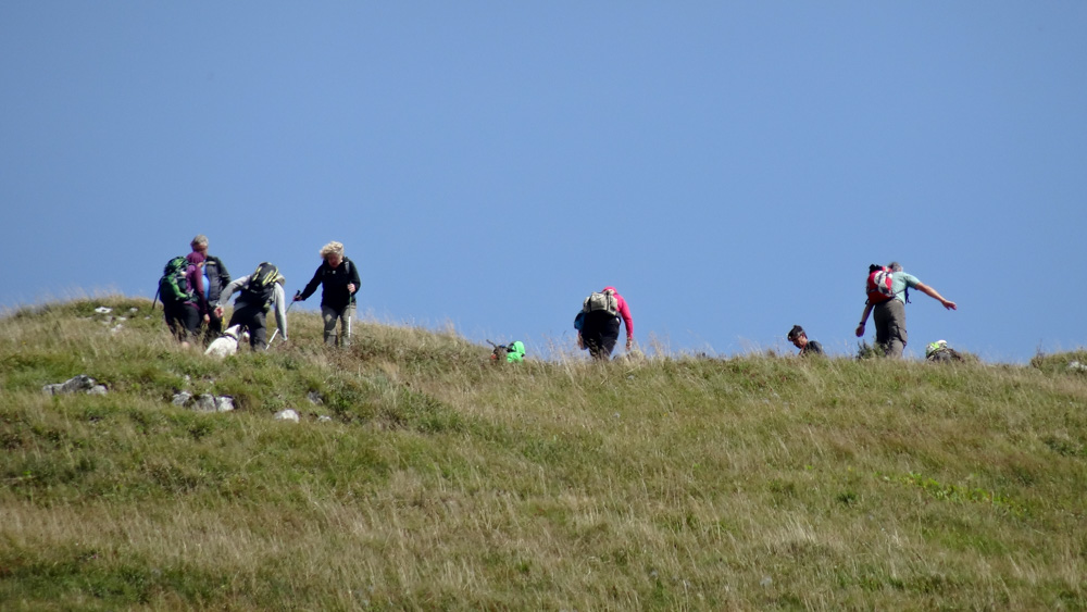 20170905 NF_Bregenzer Wald_Heinz-156.jpg