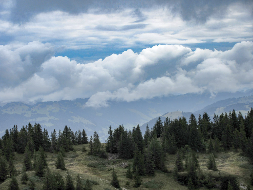 20170905 NF_Bregenzer Wald_Hilde-15.jpg