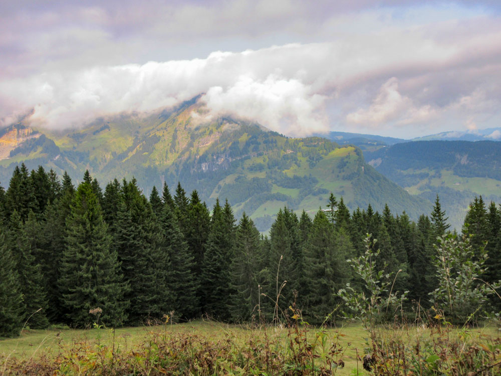 20170905 NF_Bregenzer Wald_Hilde-43.jpg