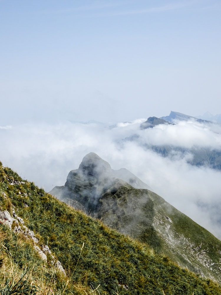 20170905 NF_Bregenzer Wald_Ingrid-44.jpg