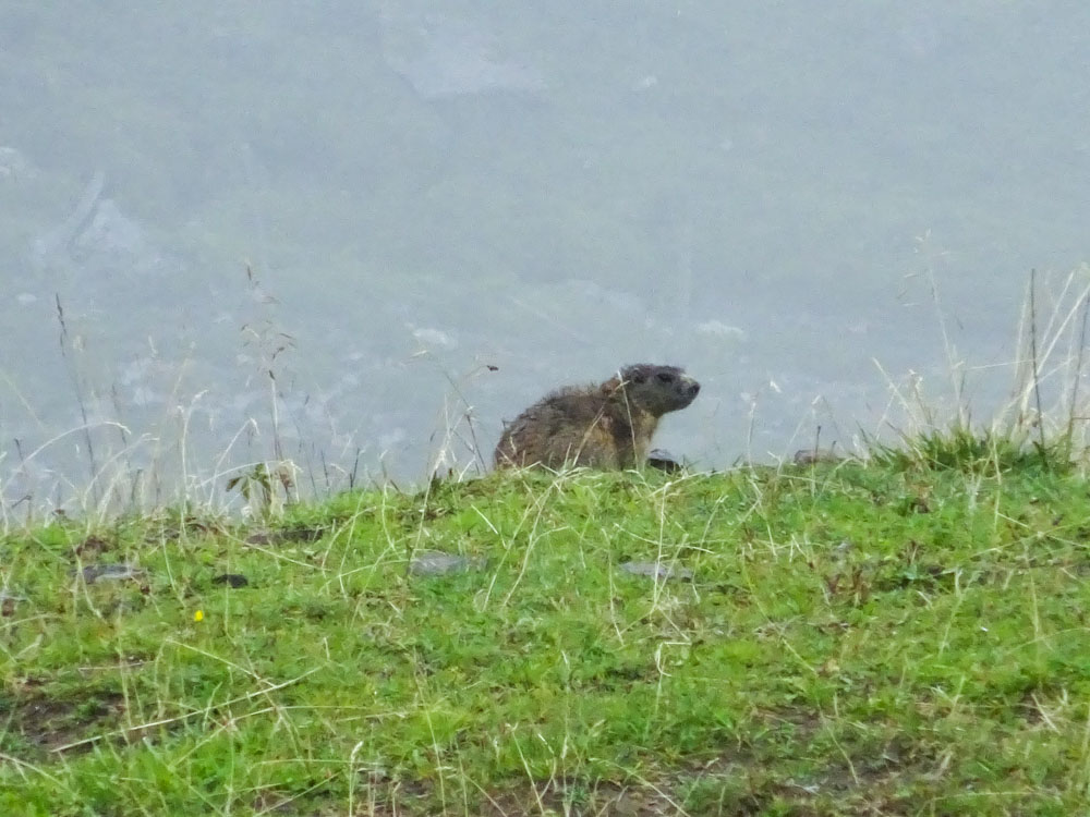 20170905 NF_Bregenzer Wald_Ingrid-95.jpg
