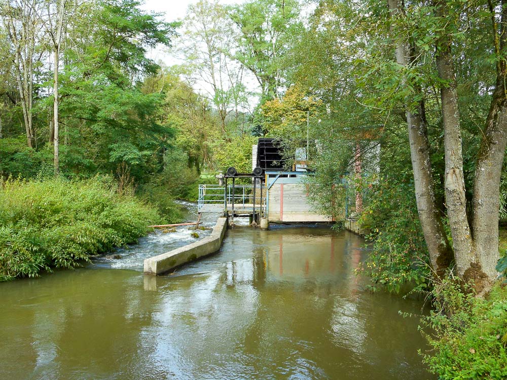 20170916 NF_Abpaddeln_Anke-16.jpg