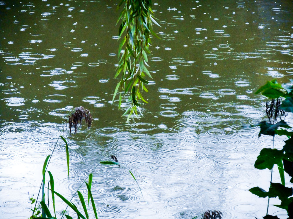 20170916 NF_Abpaddeln_Anke-23.jpg