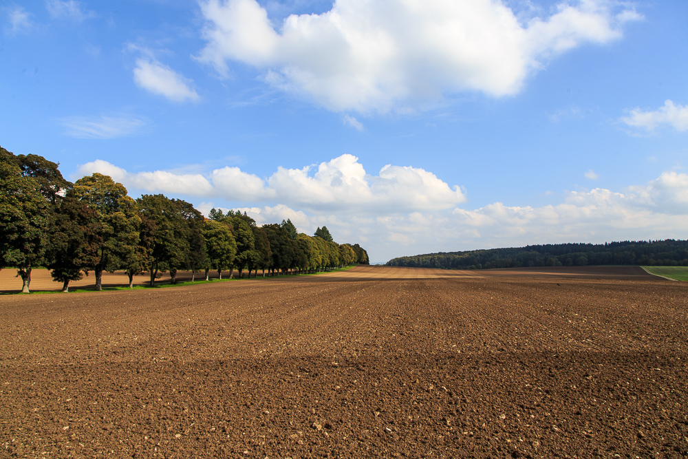 20170922 NF_Bad Urach_Karl-140.jpg