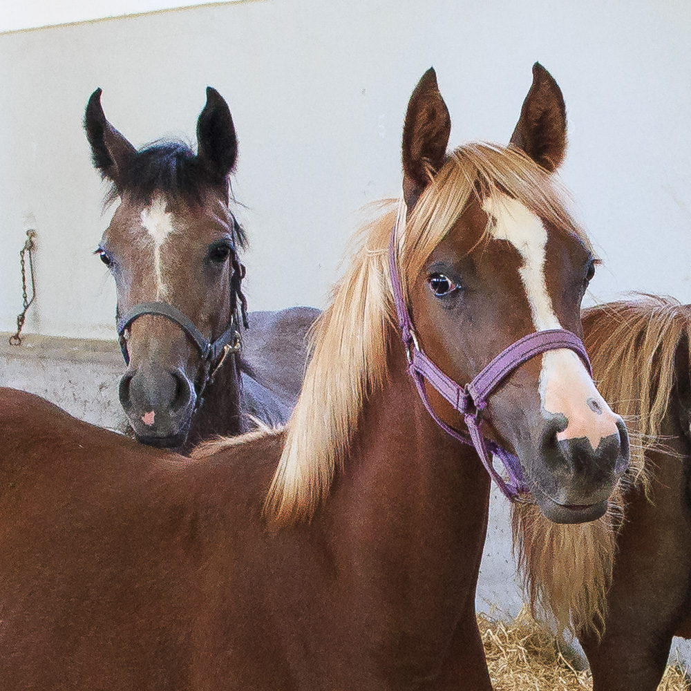 20170922 NF_Bad Urach_Karl-173-2.jpg