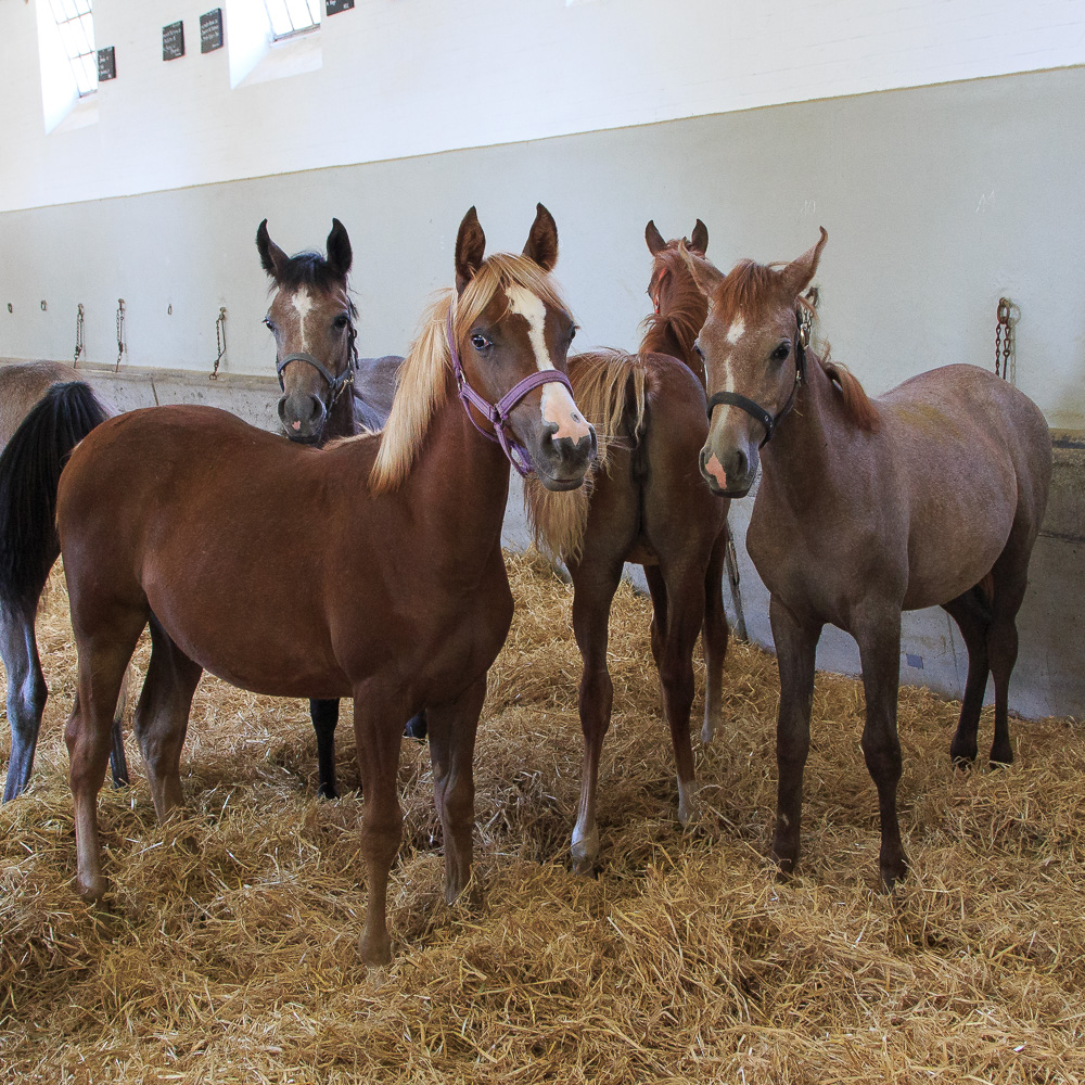 20170922 NF_Bad Urach_Karl-173.jpg