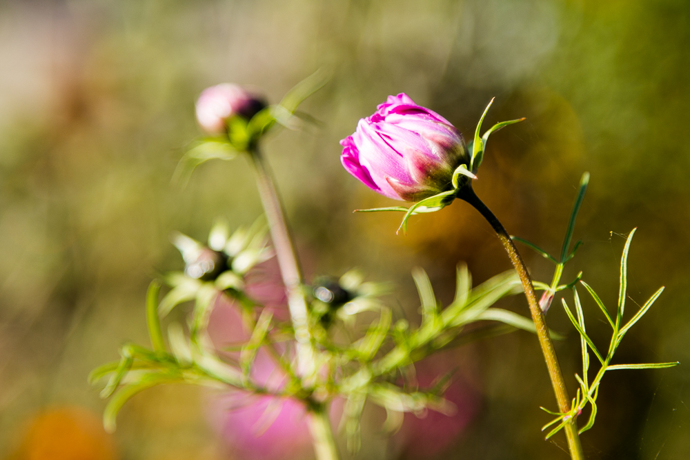 20170922 NF_Bad Urach_Karl-224.jpg