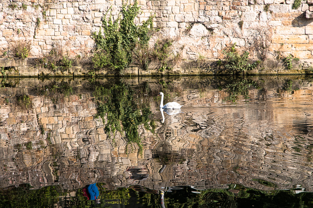 20170922 NF_Bad Urach_Karl-257.jpg