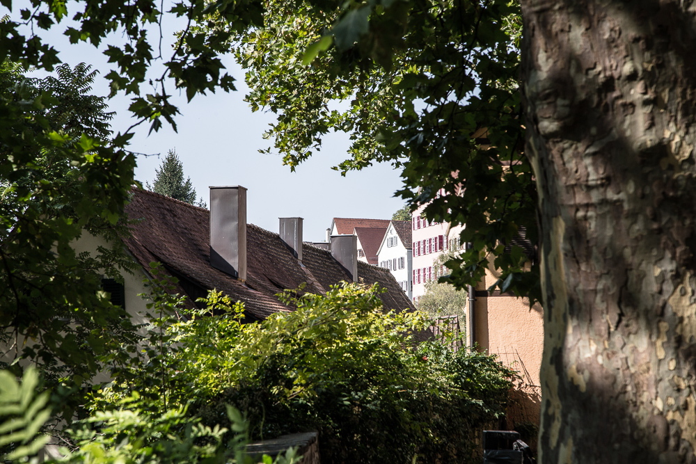 20170922 NF_Bad Urach_Karl-300.jpg