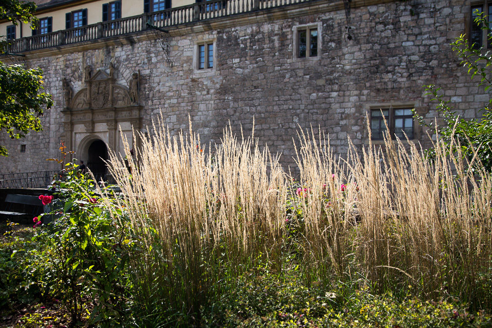 20170922 NF_Bad Urach_Karl-368.jpg