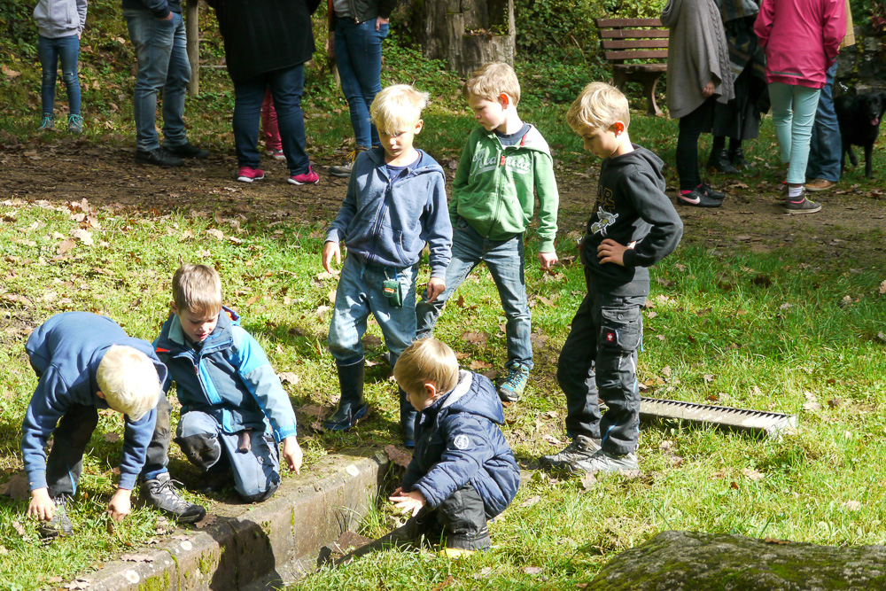 20171003 NF_Goldener Herbst_Anke-42.jpg