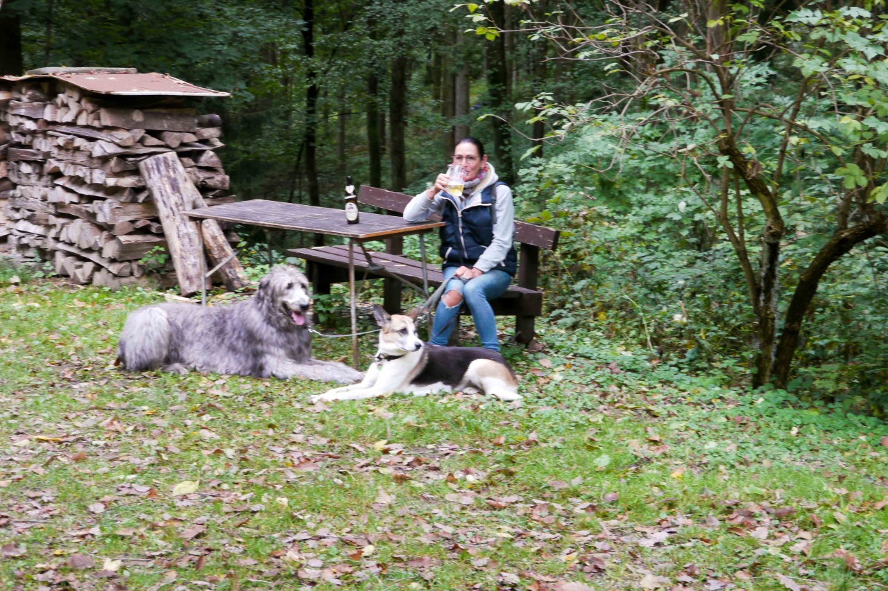 20171003 NF_Goldener Herbst_Anke-103.jpg