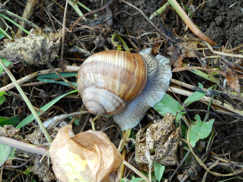 20171001 NF_Pfalzwanderung_Anke-3.jpg