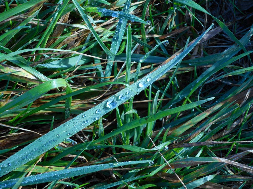 20171001 NF_Pfalzwanderung_Anke-4.jpg