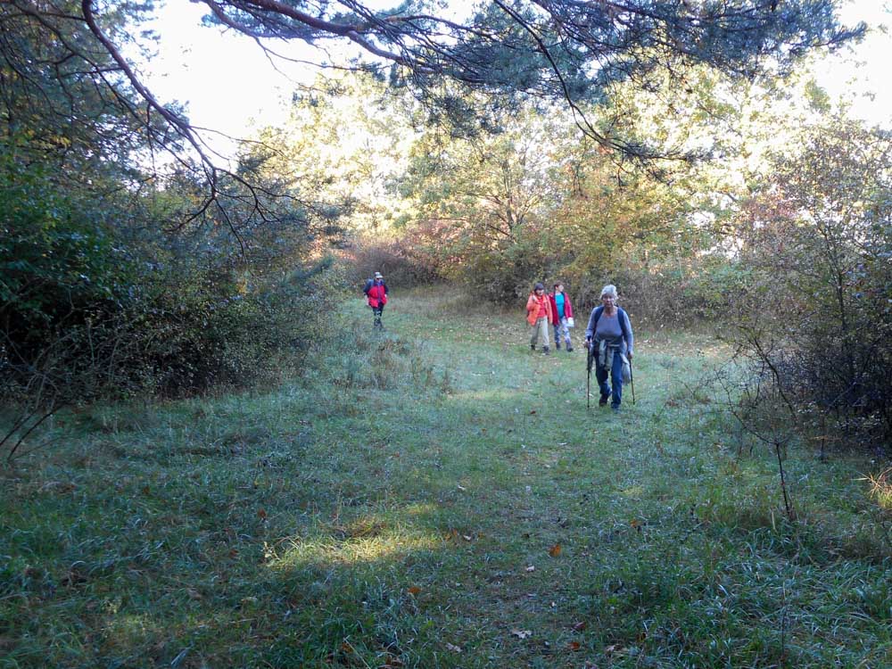 20171001 NF_Pfalzwanderung_Anke-5.jpg