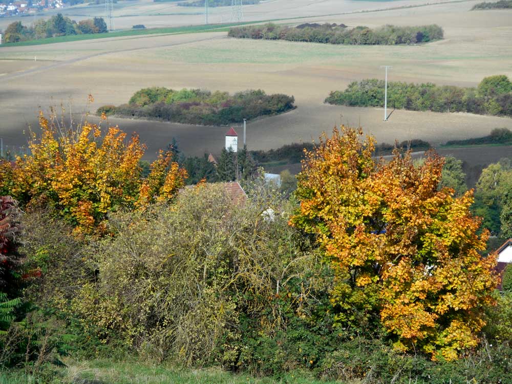 20171001 NF_Pfalzwanderung_Anke-7.jpg