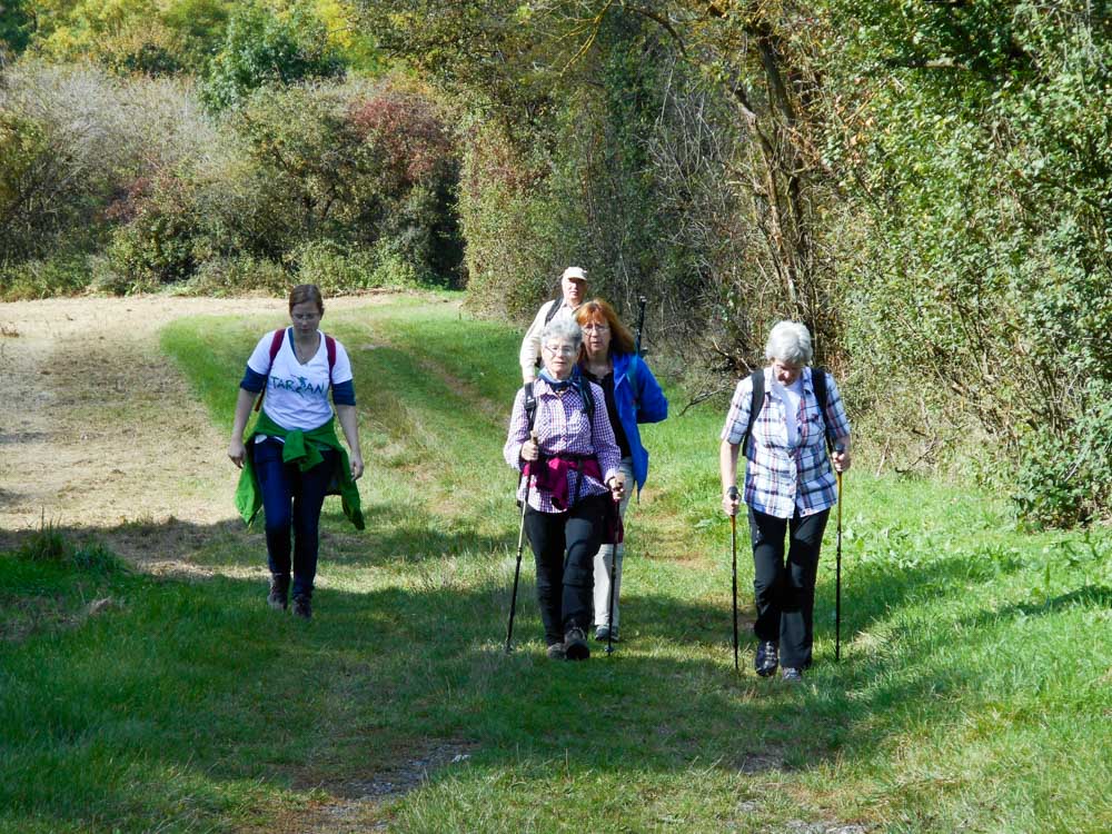 20171001 NF_Pfalzwanderung_Anke-17.jpg