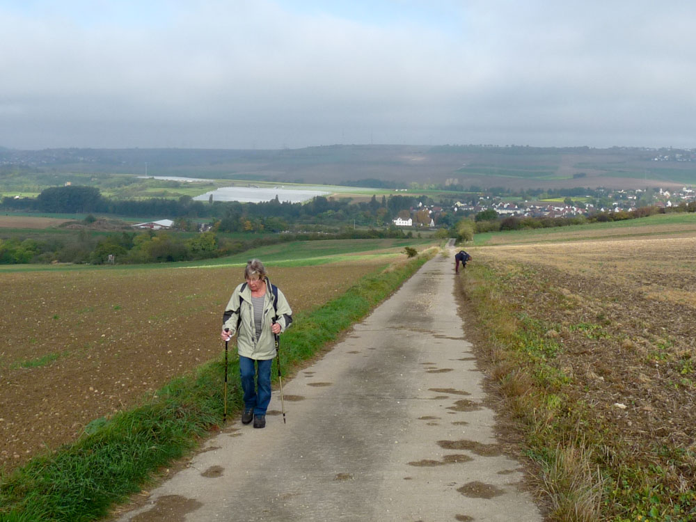 20171001 NF_Pfalzwanderung_Sabine-20.jpg